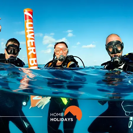 #217 Dom Afonso Iii By Holidays