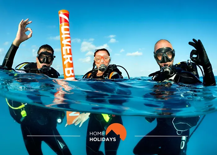 #217 Dom Afonso Iii By Holidays